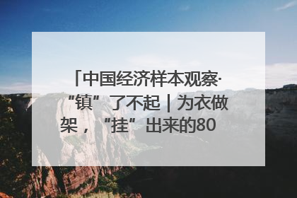 中国经济样本观察·“镇”了不起｜为衣做架，“挂”出来的80亿元“衣架产业”